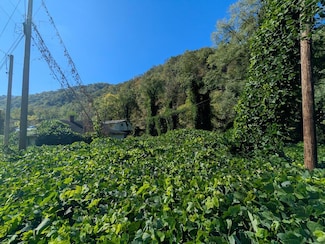 TBD Riverside Dr, Grundy, VA 24614