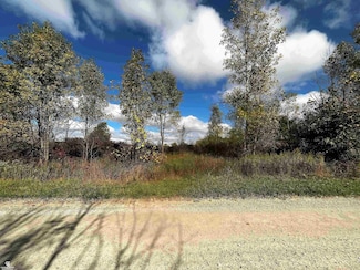 12274 Griffin Rd, Riley, MI 48041