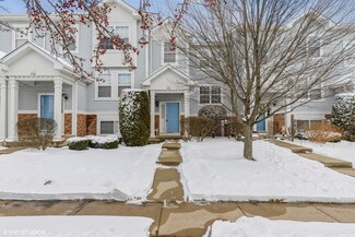 463 Holiday Ln Unit 413, Hainesville, IL 60073