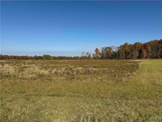00 Mee Rd, Poland, NY 14733