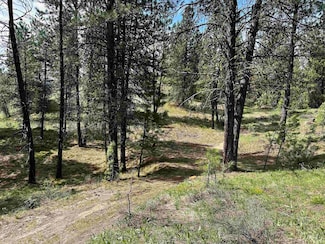 TBD Midgaard Way - Tract 7, Boise, ID 83716