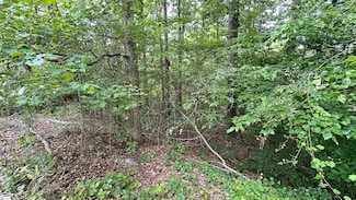 00 Buttercup Ct, Chickasaw Point, SC 29693
