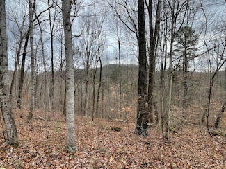 Lot 20 Haynes Knob Rd, Somerset, KY 42501
