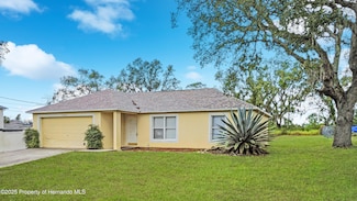 3143 Grayton Dr, Spring Hill, FL 34609