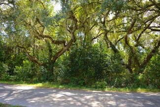 5343 Azalea Cir, Ridge Manor, FL 33523