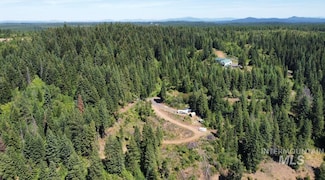701 Black Bear Dr, Orofino, ID 83544