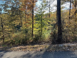 Lot 8 Allison Dr, Lake View, AL 35111
