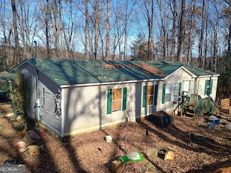 61 Lake Road Ct, Ellijay, GA 30540