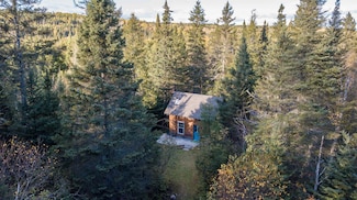 991 Ward Lake Rd, Lutsen, MN 55612