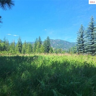 NNA Starr Ln, Dover, ID 83825