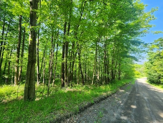 1.1 and 1.2 Marsh Rd Unit 1 and 2, Erin, NY 14838