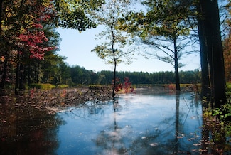 0 Mississippi 17, Pickens, MS 39146