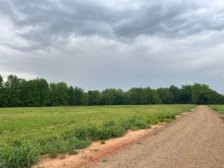 0 Burnett Rd Unit LotWP001 23320220, Williston, TN 38076