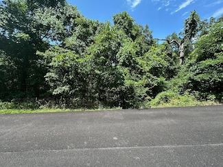 Lot 9 Paola Ln, Kimberling City, MO 65686