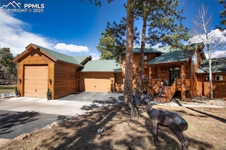 1321 Masters Dr, Woodland Park, CO 80863