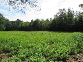 101 Winding Road - Lot 1a & 1b & Lot 2, Bowdon, GA 30108