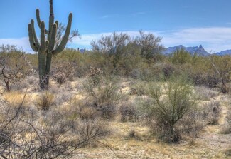31815 N Ranch Rd Unit 11, Scottsdale, AZ 85266