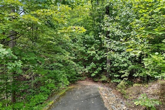 100 Comet Falls Trail Unit 235, Black Mountain, NC 28711
