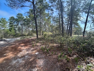 1863 Lighthouse Rd, Carrabelle, FL 32322