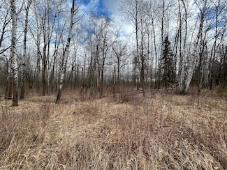TBD 48th Ave, Pine River, MN 56474