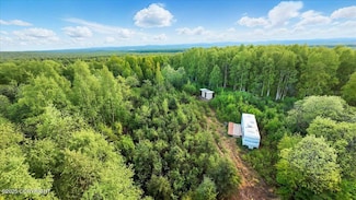 15946 Willow Fishhook Rd, Willow, AK 99688