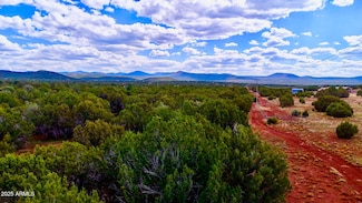 180 Co Rd 3148 Lot #1 2 1 Acres --, Vernon, AZ 85940