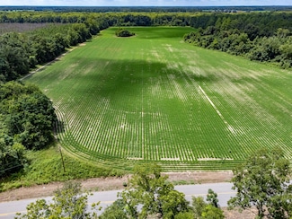 01 Vacant State Line Rd, Cottonwood, AL 36320