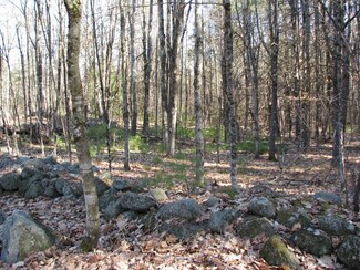 2 Putney Rd, Fitzwilliam, NH 03447