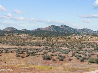 88.1 ACRES Sickles Ranch Ranch, Peeples Valley, AZ 86332