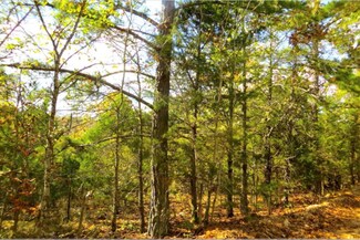 00 Bayou Access Rd, Mammoth Spring, AR 72554