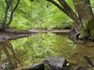 Bear Tree Fork Rd Lot Unit Wp001, Salyersville, KY 41465