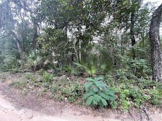 TBD NE 199th Place, Fort Mc Coy, FL 32134