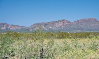 XXXX E Cll Principal Unit 258, Douglas, AZ 85607