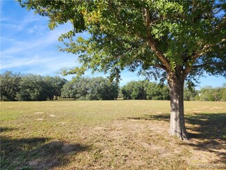 2686 N Clements Ave, Hernando, FL 34442