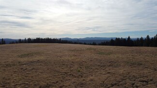 00 N Schwachtgen Rd, Chattaroy, WA 99003