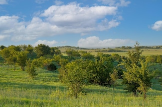 1008 Bear Creek Ranch Rd, Aledo, TX 76008