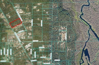 TBD NE 148th Terrace Rd, Fort McCoy, FL 32134