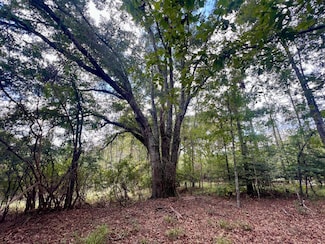 6270 N US Highway 29, Troy, AL 36081