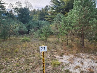 6257 Kilkenny Dr, Canadian Lakes, MI 49346