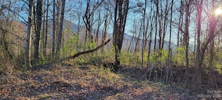 0 Rons Ridge Unit CAR4001613, Waynesville, NC 28785