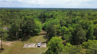 5591 Sandfort Rd, Seale, AL 36875