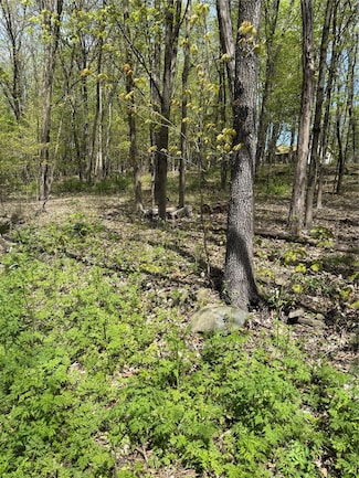 120 Floyd Ackert Rd, Esopus, NY 12429