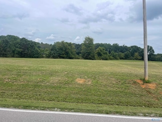12035 New Cut Rd, Athens, AL 35611