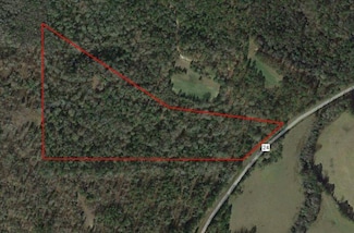 Lot 1 MacOn County Road 24, Tuskegee, AL 36830