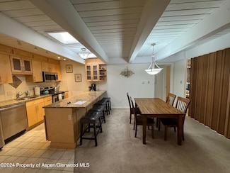 901 E Hyman Ave Unit 14, Aspen, CO 81611