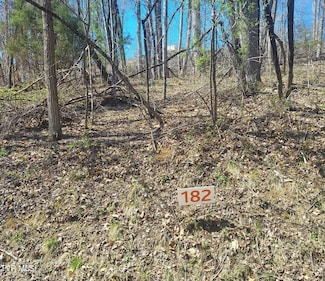 Lot 182 Ox Bow Ave, Unicoi, TN 37692