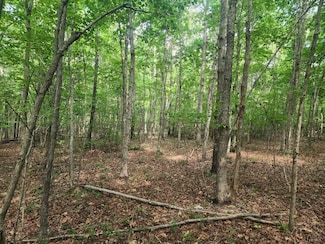 Lot 3-1 Red House Rd, Appomattox, VA 24522