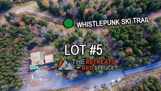 246 Red Spruce Dr, Snowshoe, WV 26209