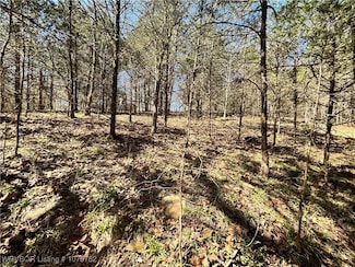 TBD W Blue Trail Ct, Park Hill, OK 74451