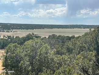 Lot 122 123, Concho, AZ 85924